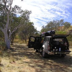 Morning tea at Curran Curran (jar for notes at base of tree)