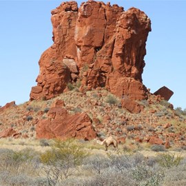 Hanging Rock and its residents