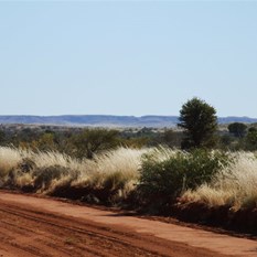 The road in to Parrngurr (Cotton Creek).