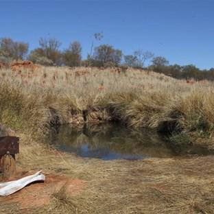 Canning well number 24
