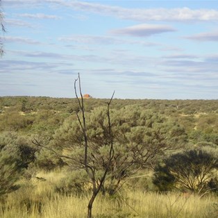 The view to McPhersons Pillar
