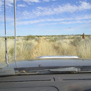 More Spinifex on the Gary Highway.