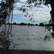Lake Cohen - A haven for migrating birds