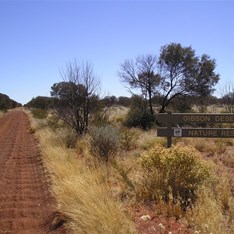 Corrugations anyone? - The Gunbarrel Hwy