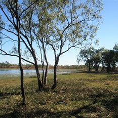 Leichhardt Lagoon near Normanton Qld