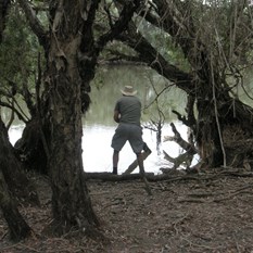 Checking the traps on the Norman River