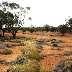 Rained in on the Boulia Winton Rd in a very scenic place