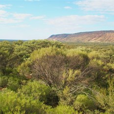 Gundabooka N Pk between Bourke and Cobar