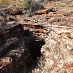 Empress Spring - DCR