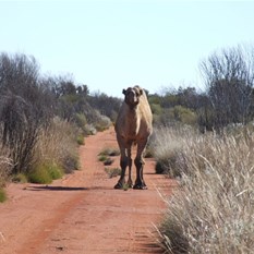 Now there's a face that only a mother could love!