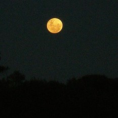 That incredible moon!