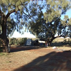 Camp under the desert oak at Well 12