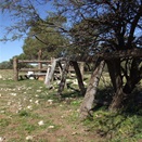 Well 9 CSR - Weld Spring