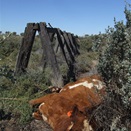 Well 11 CSR - Plenty of water but unable to access it.