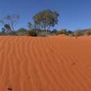 The sand of the Canning - South of Lake Aerodrome