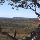 The view north along the Durba Ranges