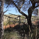 The remains of Murray Rankins hand cart.
