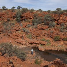 The upper reaches of the gorge.