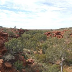 Looking along Durba to it's entrance.