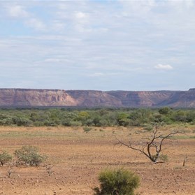 The distant Kennedy's.
