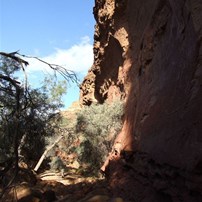 The walls of Temple Gorge