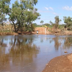 Julie crossing the Lyons prior to the Eller-80.  Oh John you'll pay!