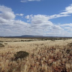 The country heading towards Mt Augustus