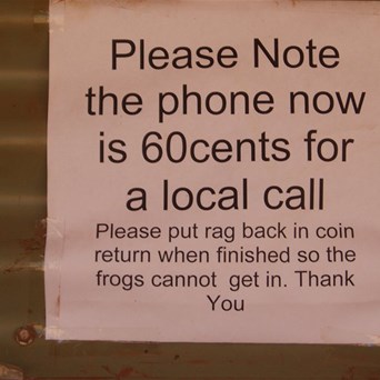 Frogs and phones just don't mix