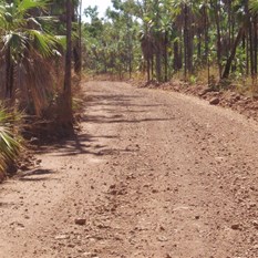 The magnificently graded Mitchell Plateau track - You can be lucky!