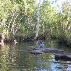 Convening the senate in the Merton Creek.
