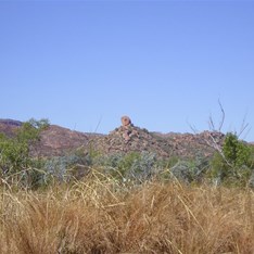 The tall grass beside the Great Northern Highway