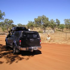 Heading into Mabel Downs Station.
