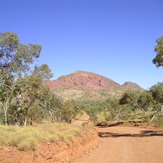 The track in through the ranges on Mable Downs.