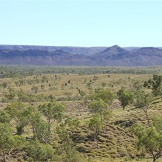 The country to the west of Kurrajong