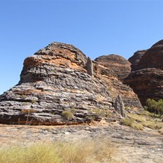 Termite accomodation with a view