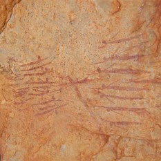 The swimmers in the cavern further along the Merton Creek.