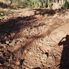 The secluded and Cleared tent site at ELQ!