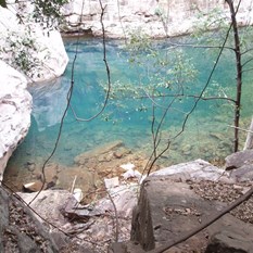 The aptly named Emerald Pool - Emma Gorge