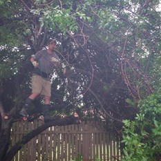 Me up the tree