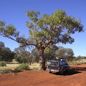 Gunbarrell Highway near the intersection of the Heather Highway, WA