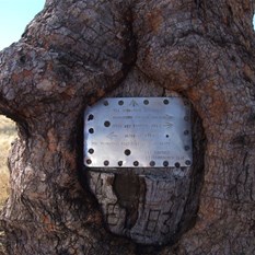 Gunbarrell Highway near the intersection of the Heather Highway, WA