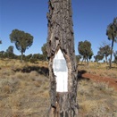 Beadell Family Marker Gary Junction Road near Jupiter Well, WA