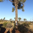 One Hundred (100) mile marker Sandy Blight Junction Track, WA