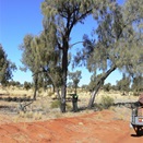 One Hundred (100) mile marker to the Gunbarrell Hwy 