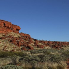 The track out of Durba Springs in the early morning