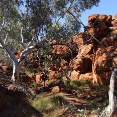 Hugh walking the gorge - Calvert Ranges