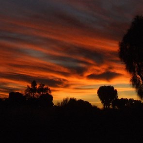 This is what it's all about - A sunset and the wind in the desert oaks.