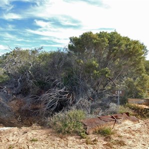 Well 19 CSR - In ruins.