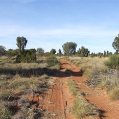 An early morning section of the Canning.