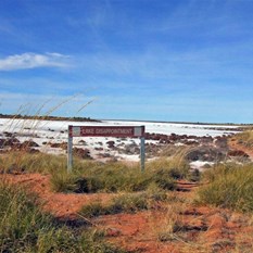 Lake Disappointment - CSR